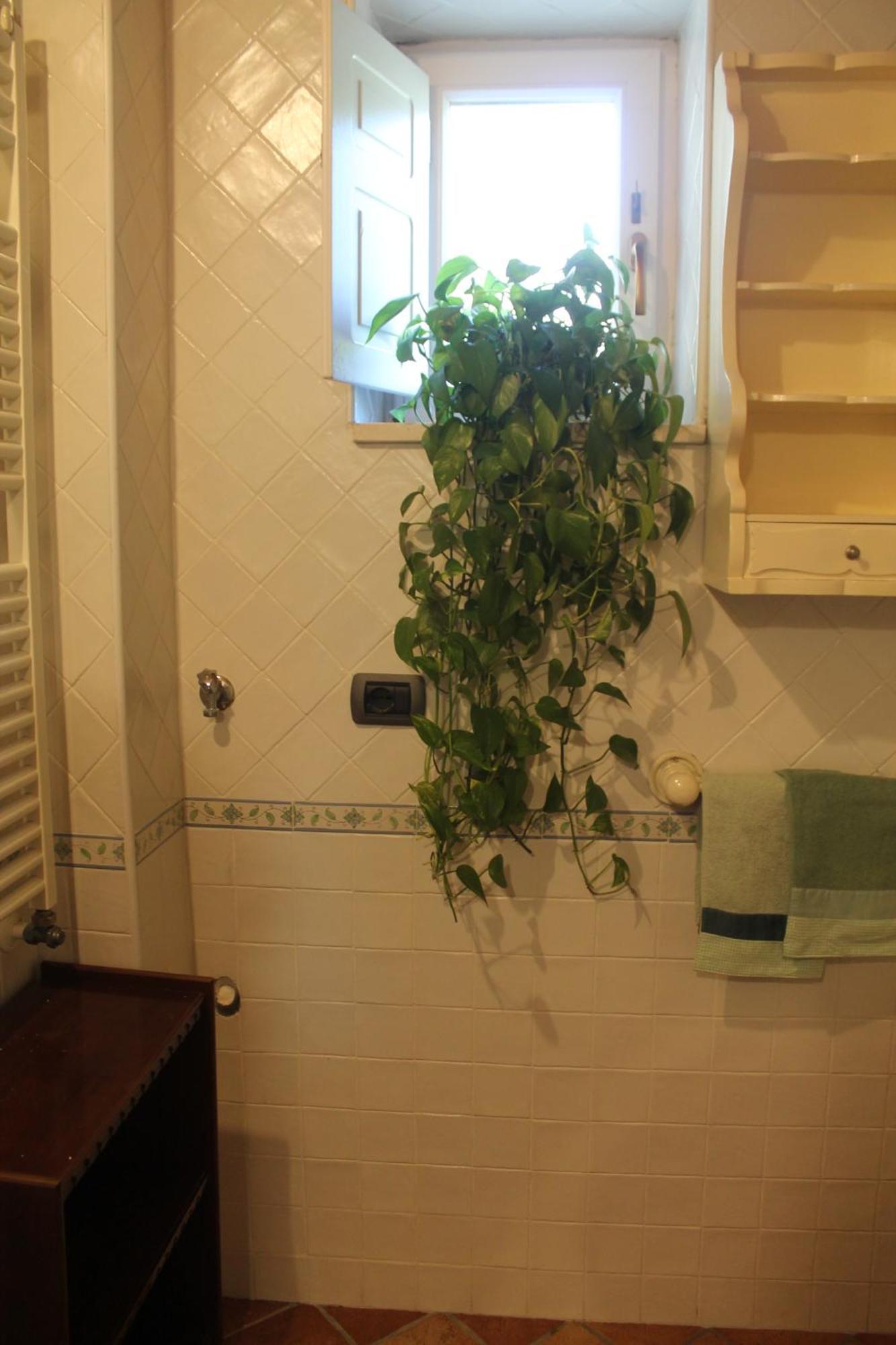 La Magnolia Locazione Breve Appartement Cava deʼ Tirreni Buitenkant foto